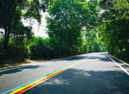 沿著 最長(zhǎng)彩虹公路 一路暢游無(wú)錫